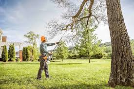 Seasonal Cleanup (Spring/Fall) in Burns, TN